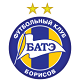 Team logo